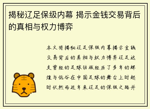 揭秘辽足保级内幕 揭示金钱交易背后的真相与权力博弈