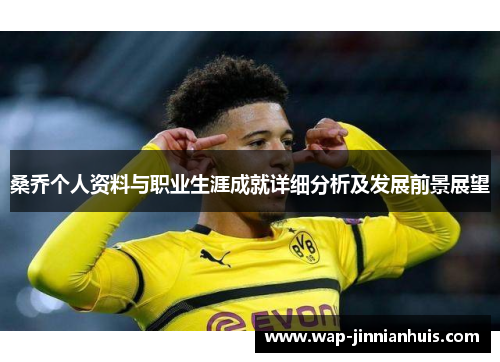 桑乔个人资料与职业生涯成就详细分析及发展前景展望