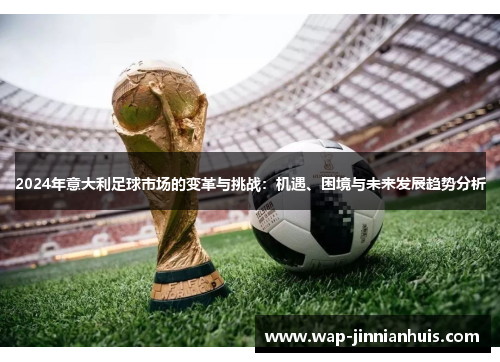 2024年意大利足球市场的变革与挑战：机遇、困境与未来发展趋势分析