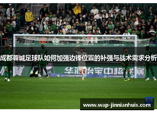 成都蓉城足球队如何加强边锋位置的补强与战术需求分析