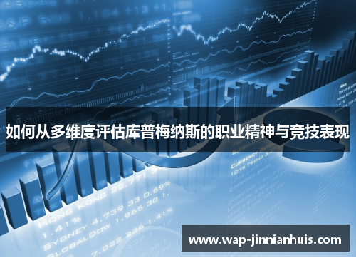 如何从多维度评估库普梅纳斯的职业精神与竞技表现