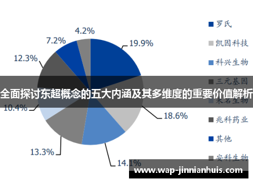 全面探讨东超概念的五大内涵及其多维度的重要价值解析
